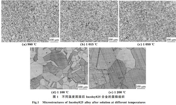 图1 不同温度固溶后Incoloy825合金的显微组织 图1 不同温度固溶后Incoloy825合金的显微组织