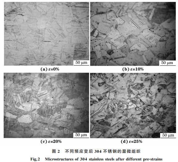 图2 不同预应变后304不锈钢的显微组织 图2 不同预应变后304不锈钢的显微组织