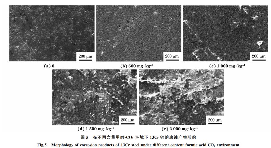 图5 在不同含量甲酸GCO2 环境下13Cr钢的腐蚀产物形貌 图5 在不同含量甲酸GCO2 环境下13Cr钢的腐蚀产物形貌