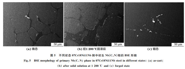 图5 不同状态07Cr18Ni11Nb钢中初生 Nb(C,N)相的 BSE形貌 图5 不同状态07Cr18Ni11Nb钢中初生 Nb(C,N)相的 BSE形貌